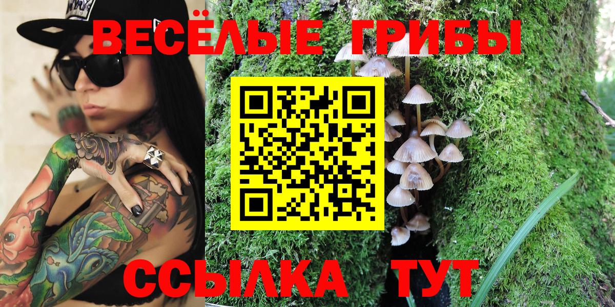 Псилоцибиновые грибы Psilocybine cubensis Батайск